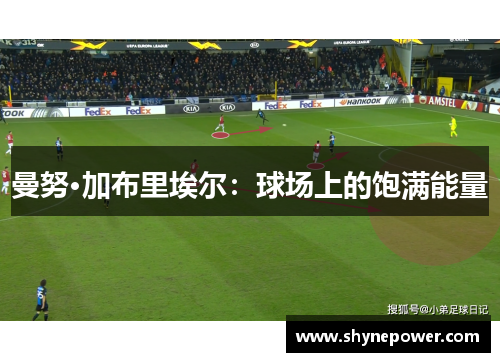 曼努·加布里埃尔：球场上的饱满能量